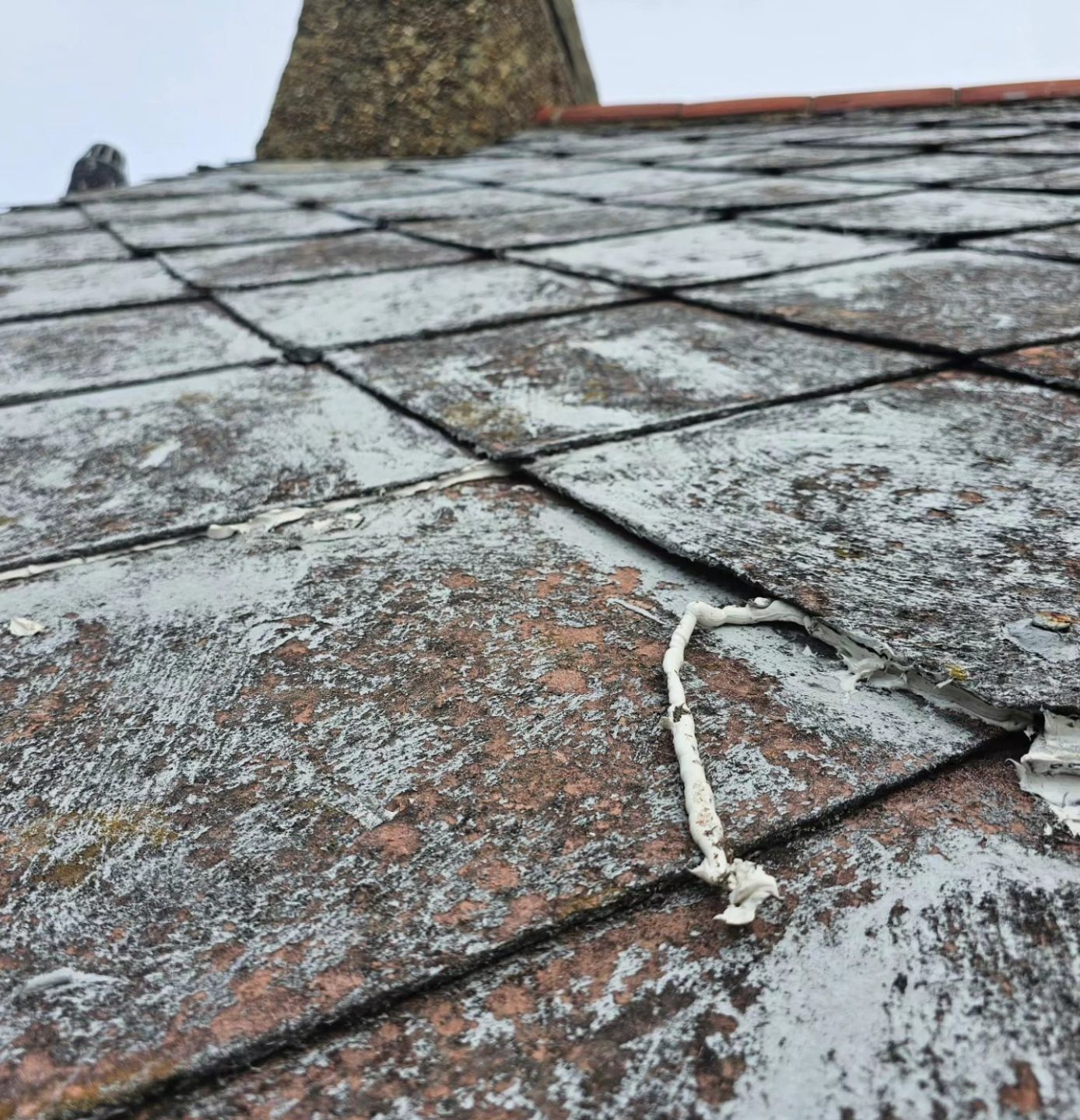 Close-up roof defect inspection, Newhaven